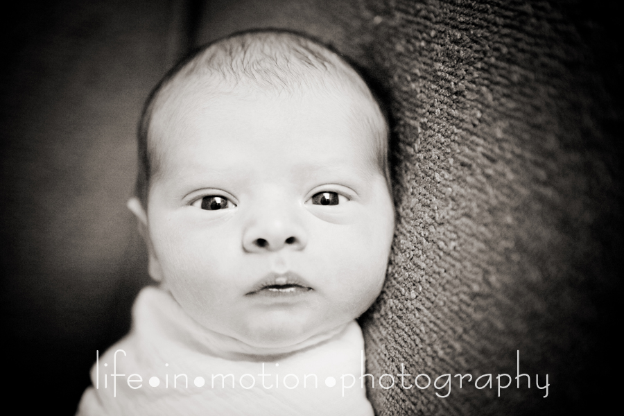 newborn_photography_specials
