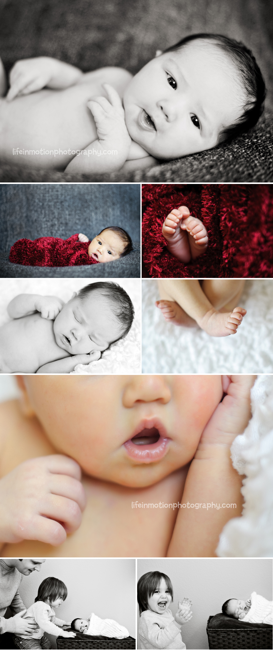 austin_newborn_photographer