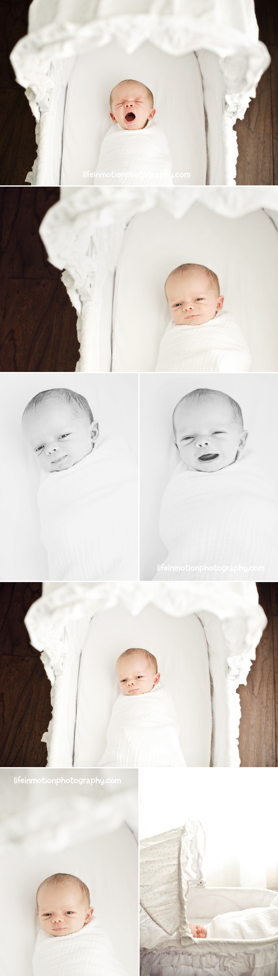 newborn_photography_austin_texas