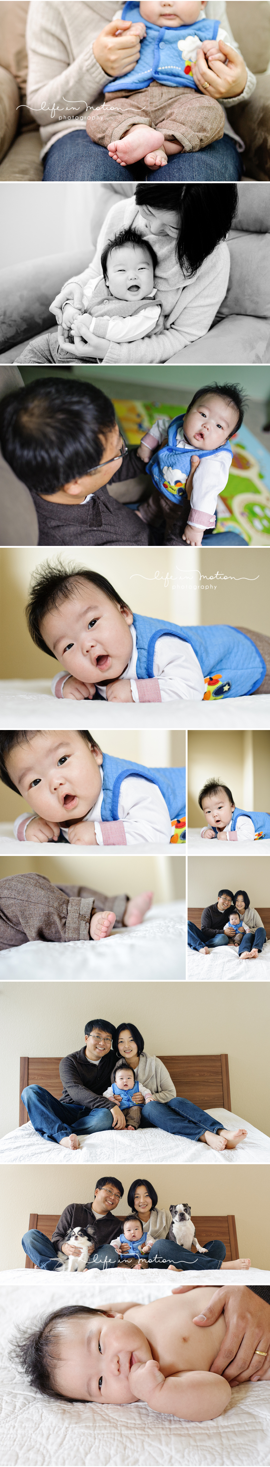 cedar_park_texas_baby_photographers