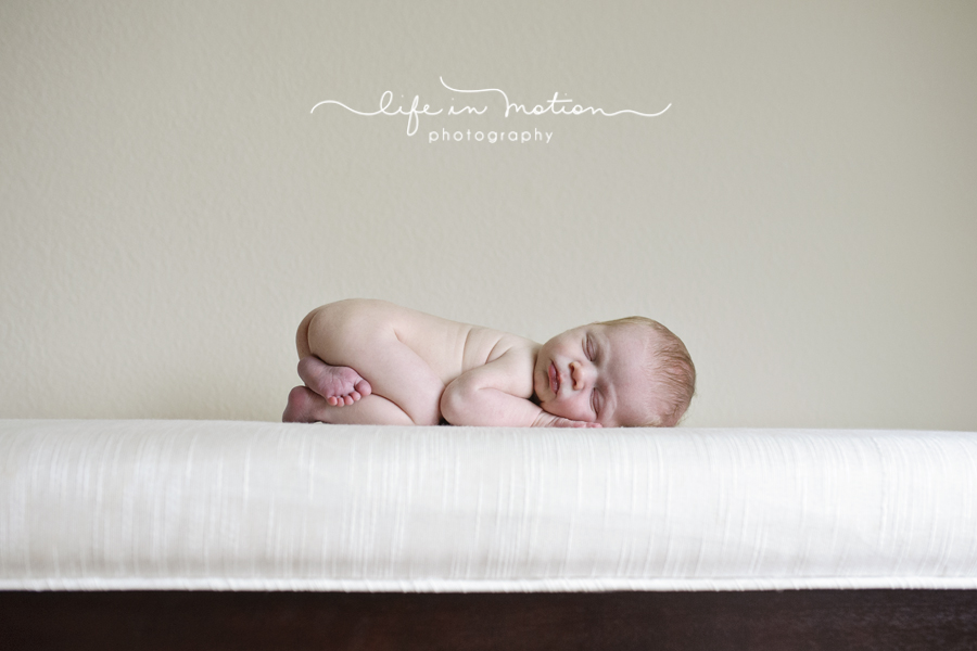 round_rock_texas_newborn_photographer