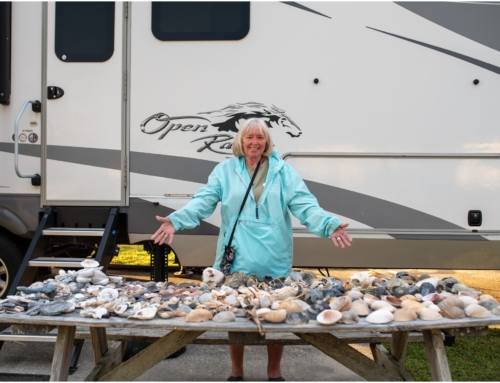 Best Shelling in the Outer Banks, Portsmouth Island Adventures