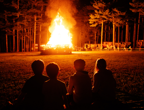 bonfire with friends