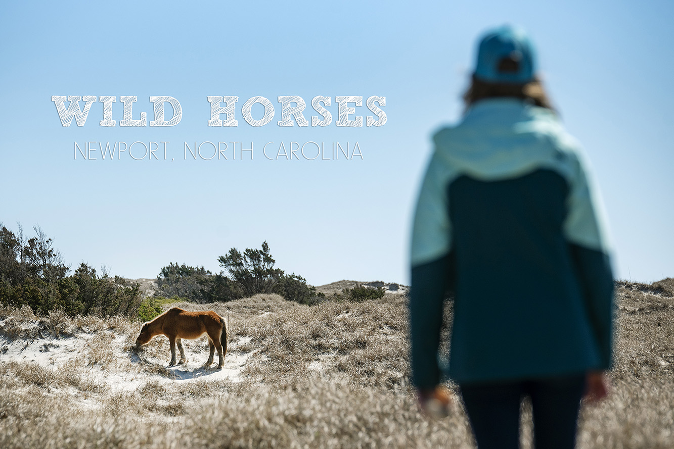 Shackleford Banks Island